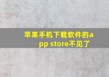 苹果手机下载软件的app store不见了